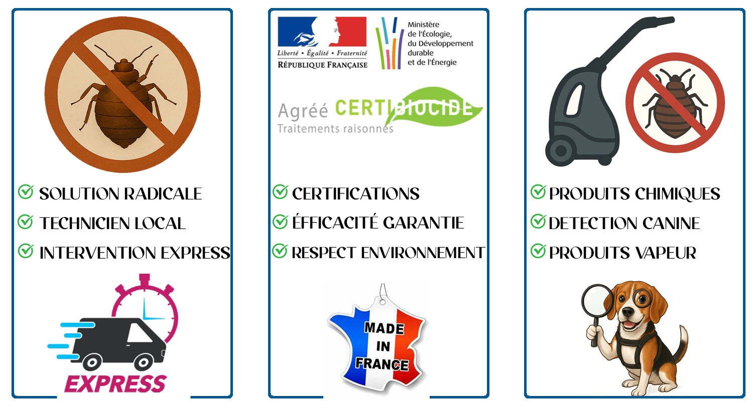 Punaises de Lit Sucy en Brie